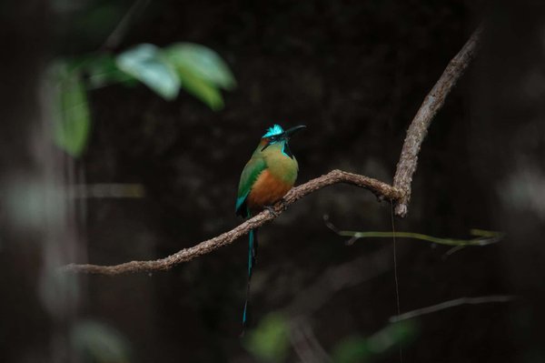 Faut-il installer un plafond tendu lumineux dans les Rhône-Alpes ?