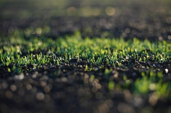 Où trouver du gazon synthétique pas cher ?